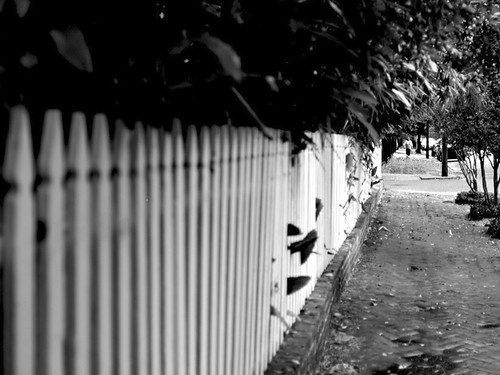 How to Love Your Neighbor in a Crisis… When You Don’t Really Know Them